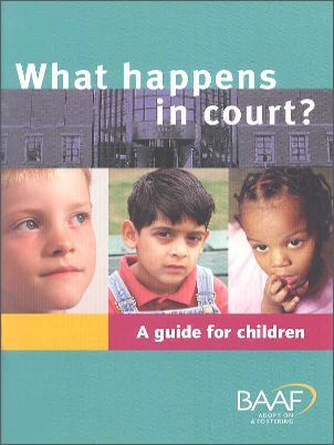 What happens in court cover