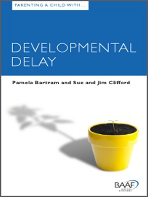 Parenting a child developmental delay cover