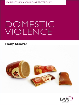 Parenting a child domestic violence cover