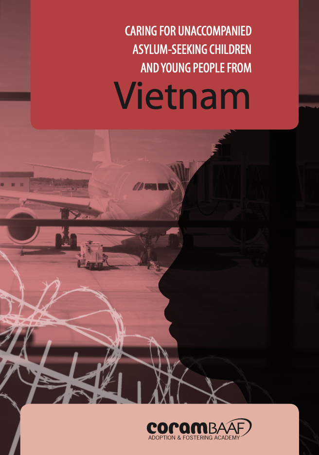 Vietnam cover